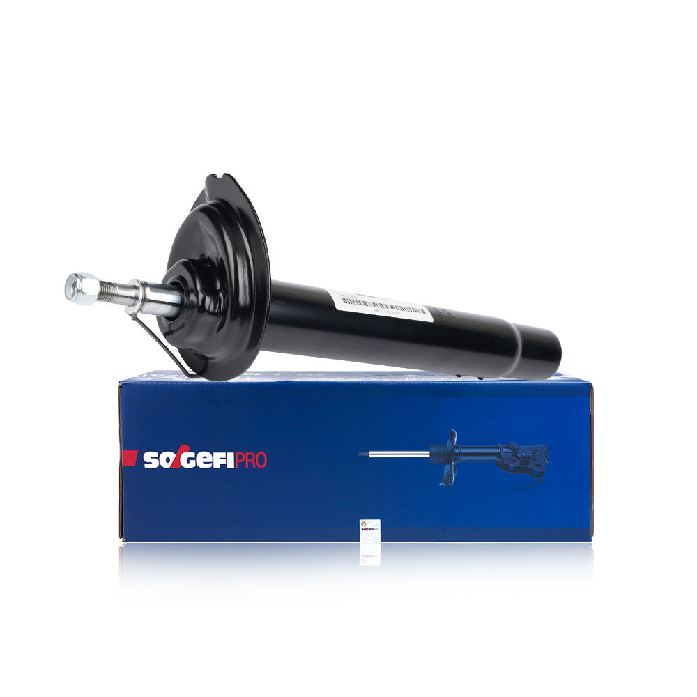 Front Shock Absorber Strut for BMW 3 Series (E46)
